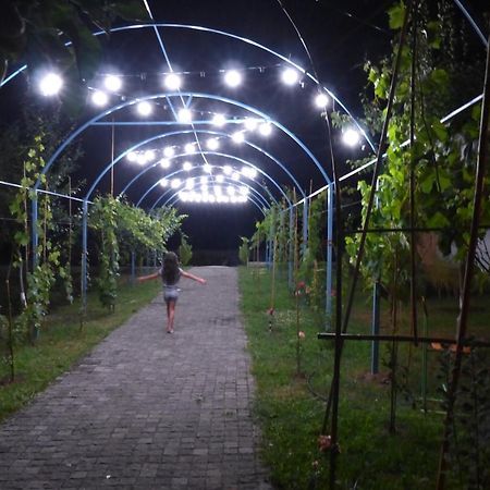 Villa "Zepuri" Dushet'i Buitenkant foto