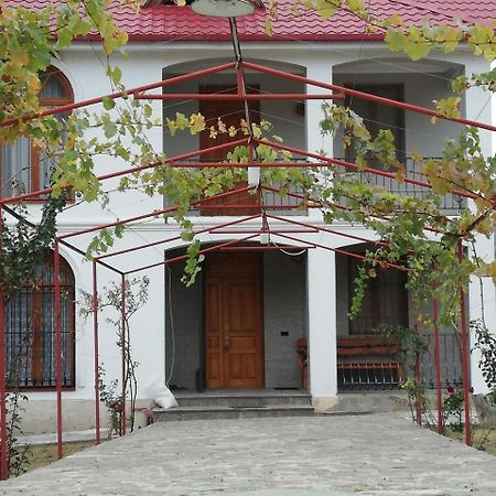 Villa "Zepuri" Dushet'i Buitenkant foto