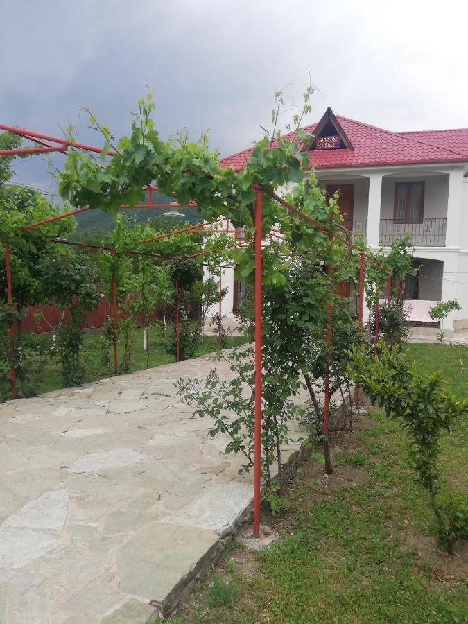 Villa "Zepuri" Dushet'i Buitenkant foto