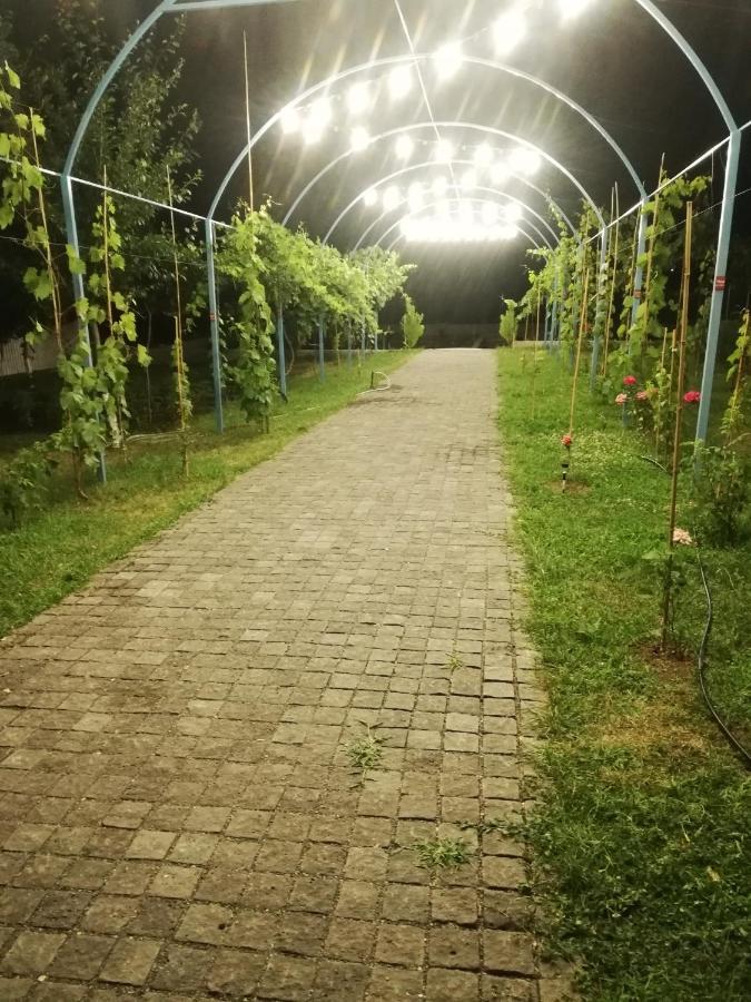 Villa "Zepuri" Dushet'i Buitenkant foto