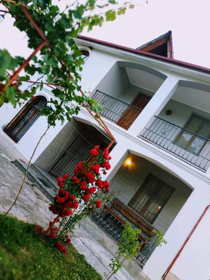 Villa "Zepuri" Dushet'i Buitenkant foto
