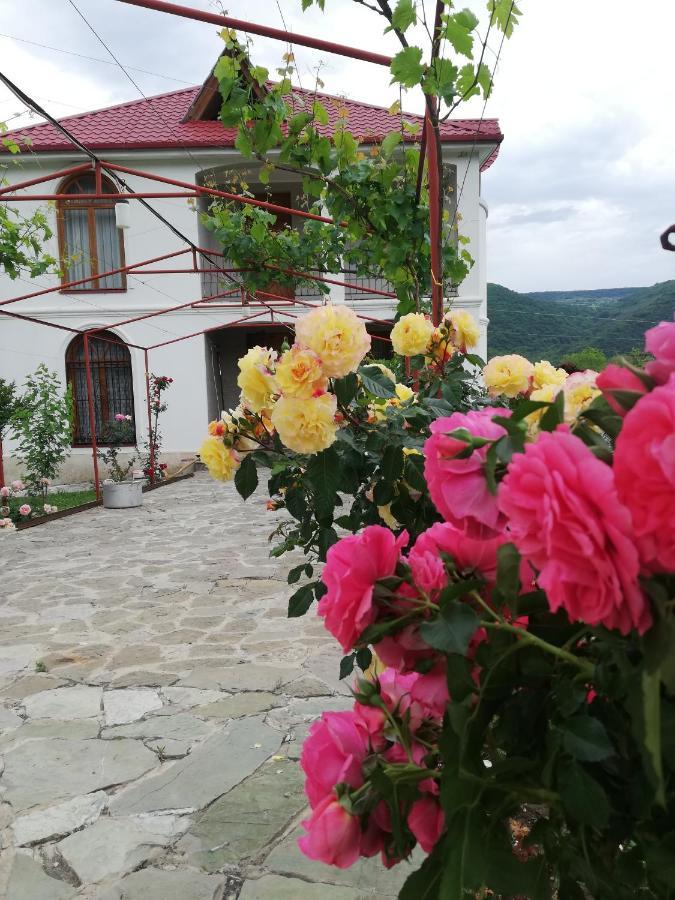 Villa "Zepuri" Dushet'i Buitenkant foto