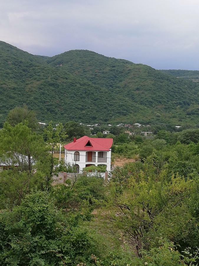 Villa "Zepuri" Dushet'i Buitenkant foto